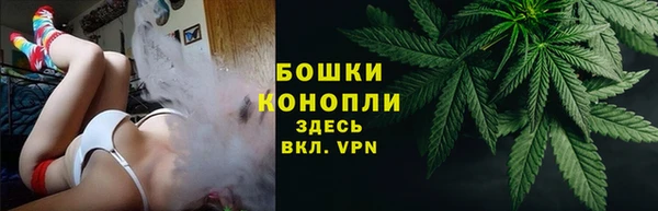 a pvp Белокуриха
