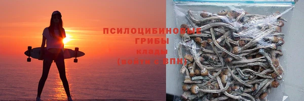 a pvp Белокуриха