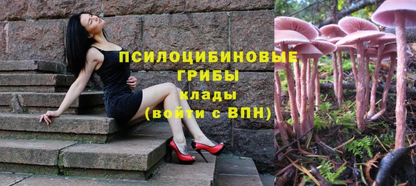 гашиш Богданович
