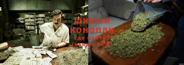 a pvp Белокуриха