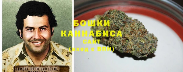 гашиш Богданович