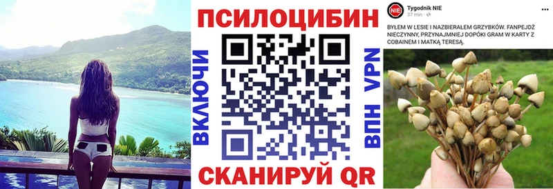 закладка  Великий Устюг  Псилоцибиновые грибы мухоморы 