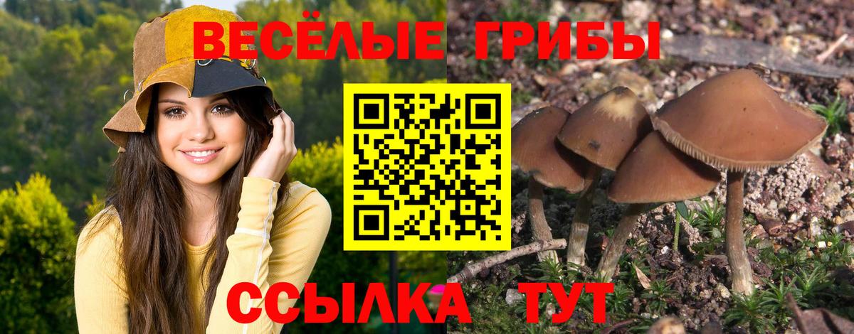Великий Устюг  Галлюциногенные грибы Psilocybine cubensis  магазин    Вход с VPN 