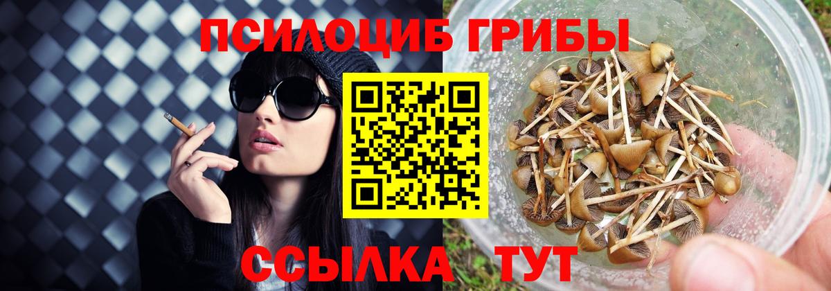 Галлюциногенные грибы MAGIC MUSHROOMS Великий Устюг